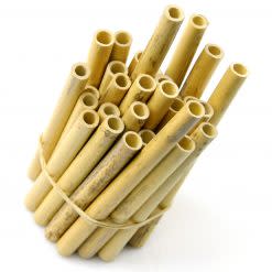 Lavoro Oboe Tube Cane