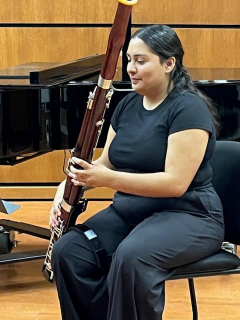 Maxwell Bassoon Leg Hook