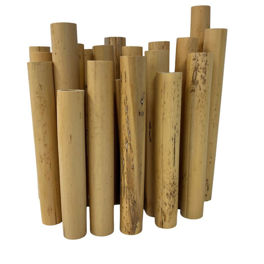 Rieger Bassoon Tube Cane